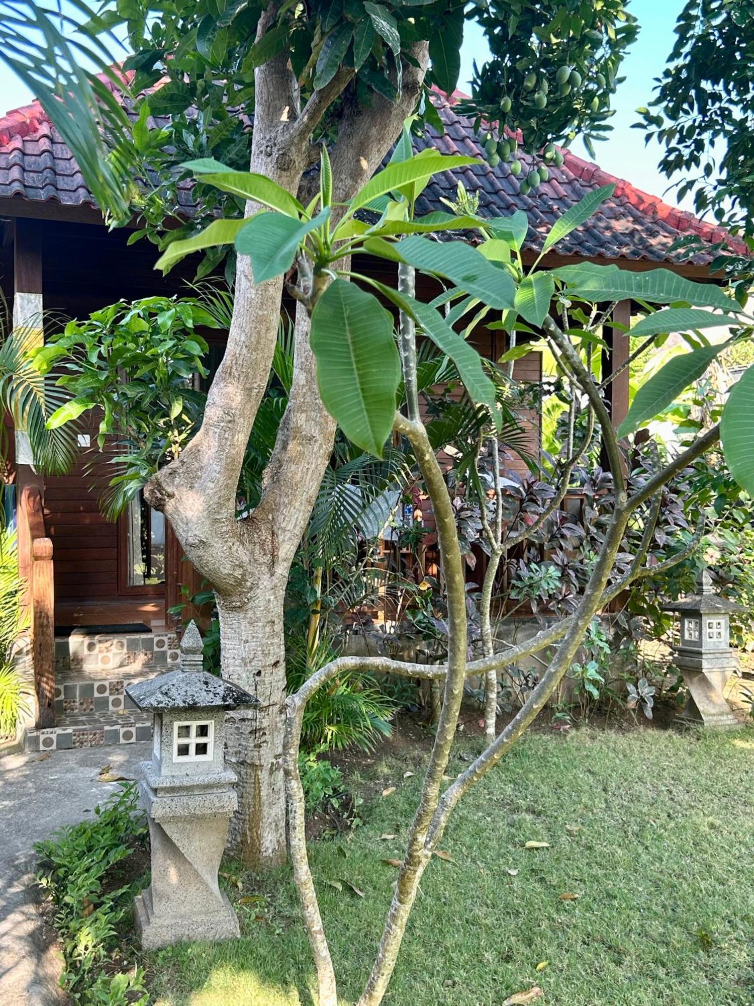 Island Garden Huts Lembongan Bed & Breakfast Exterior photo