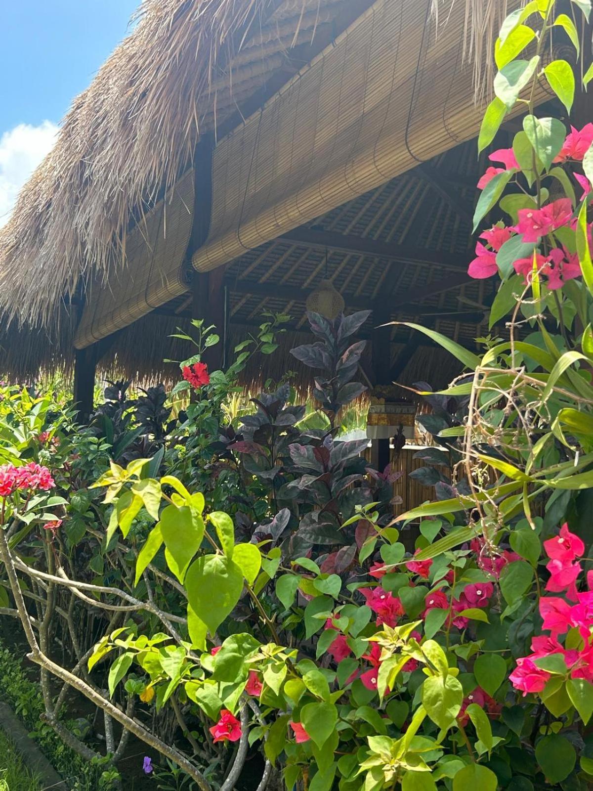 Island Garden Huts Lembongan Bed & Breakfast Exterior photo